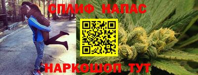 прущие крисы Кимры