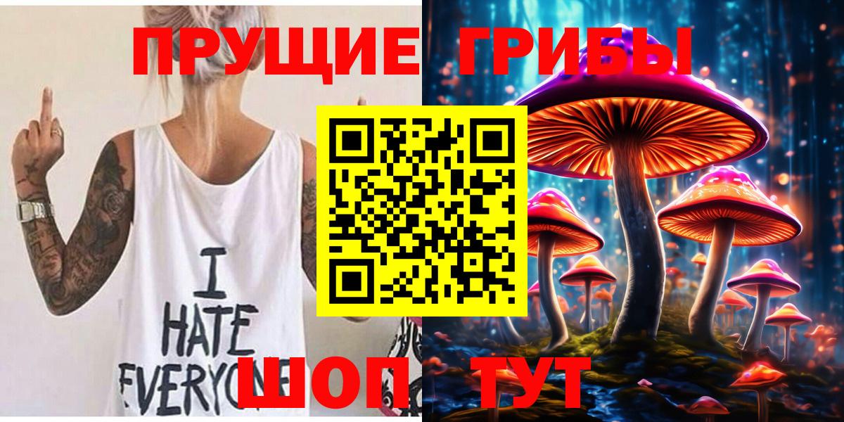 Корсаков  Псилоцибиновые грибы прущие грибы  Вход с VPN 