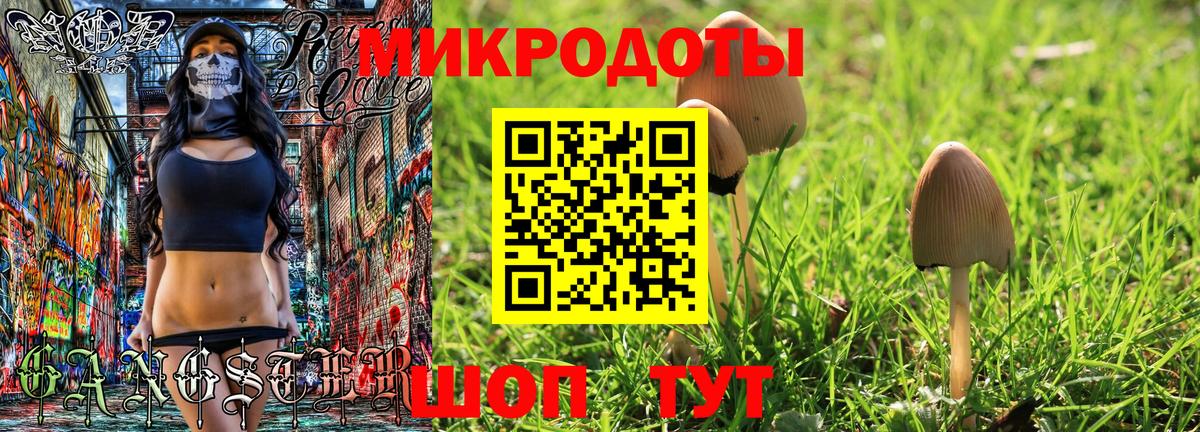 Галлюциногенные грибы мухоморы Корсаков
